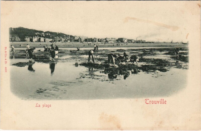 Carte postale ancienne Trouville La Plage