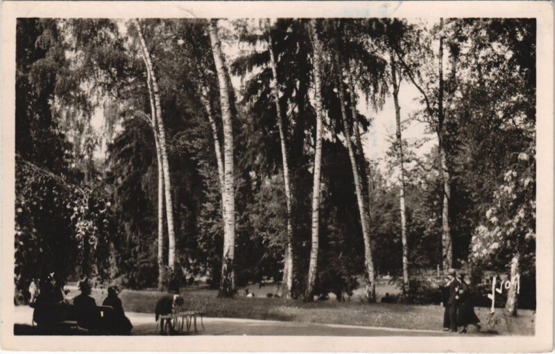 Carte postale ancienne Vichy Le Nouveau Parc France à Vichy