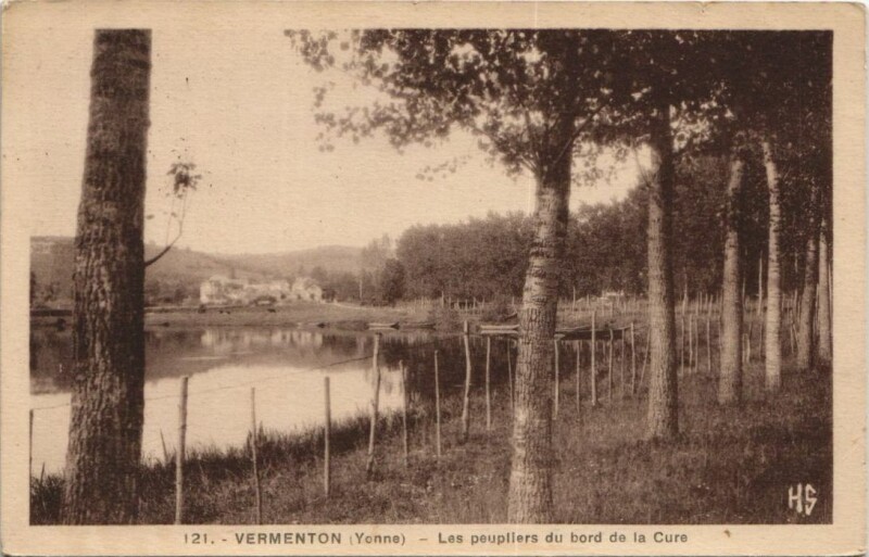 Carte postale ancienne Vermenton Les Peupliers du Bord de la Cure à Vermenton