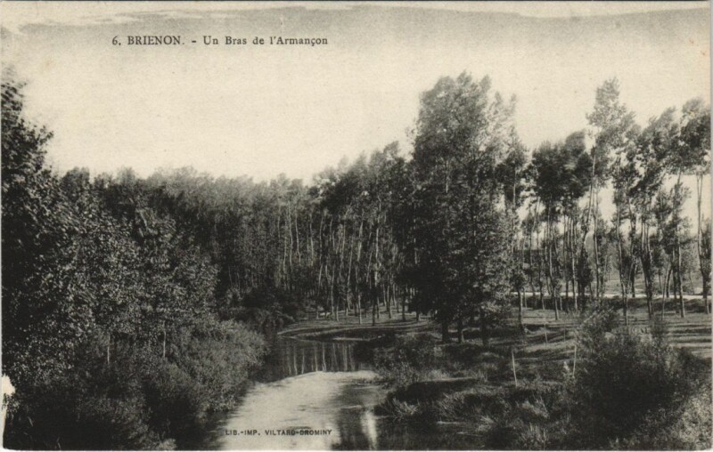 Carte postale ancienne Brienon Un Bras de l'Armancon