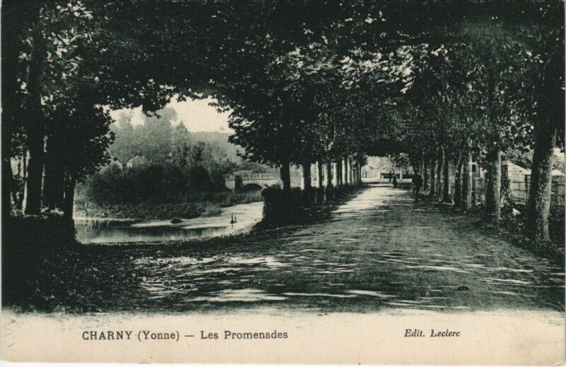 Carte postale ancienne Charny Les Promenades France à Menades