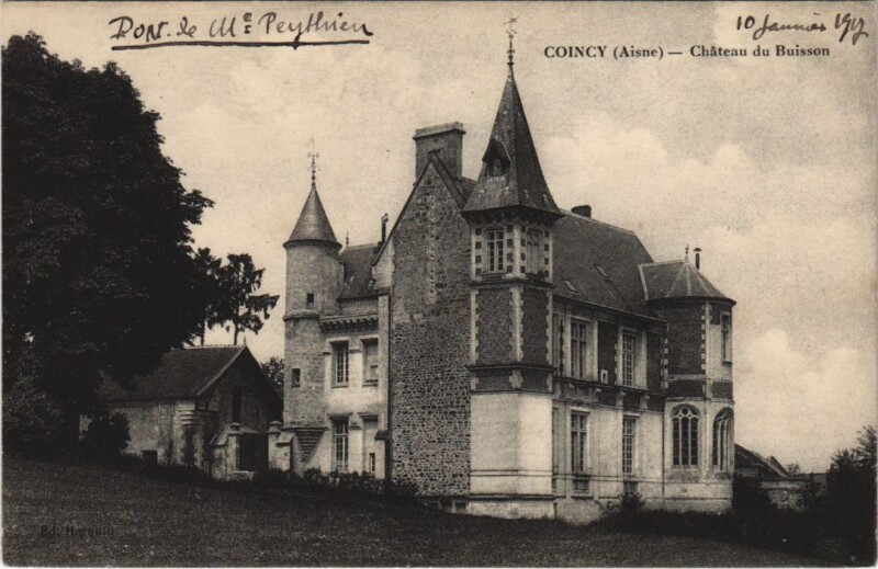 Carte postale ancienne Le chateau du buisson