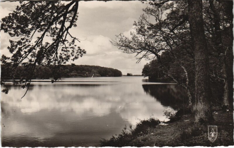 Carte postale ancienne Foret de Troncais Etang de Pirot