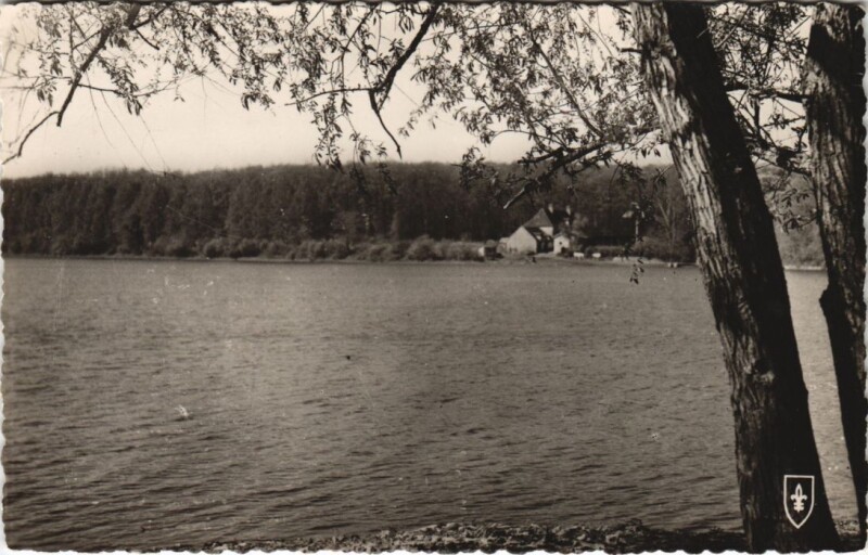 Carte postale ancienne Foret de Troncais Etang de troncais