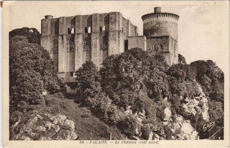Carte postale ancienne Falaise Le Chateau - Cote Nord à Falaise