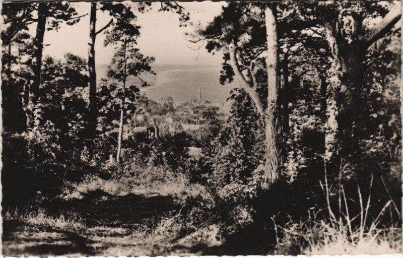 Carte postale ancienne Houlgate Percee sur Houlgate - Vue du Bois de Boulogne à Houlgate