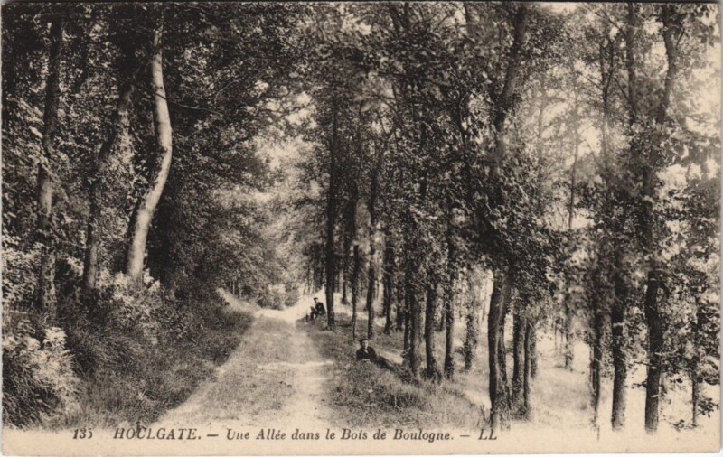 Carte postale ancienne Houlgate Une Allee dans le Bois de Boulogne à Houlgate