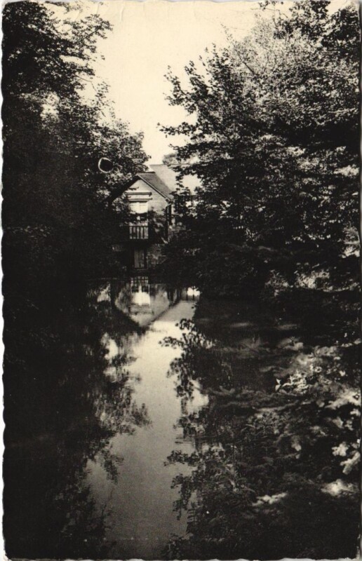 Carte postale ancienne Villers-sur-Mer Chemin du Bois - La Moulin Pommerose - Pension à Villers-sur-Mer