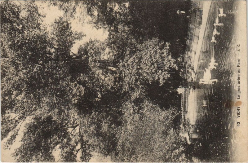 Carte postale ancienne Vichy Le gros arbre au Parc France à Vichy