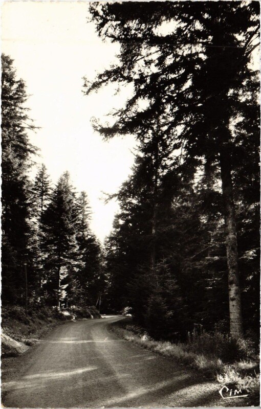 Carte postale ancienne Echandelys Sous-Bois