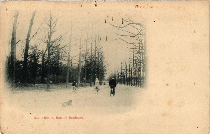 Carte postale ancienne Lille le Une Allée du Bois e Boulogne à Lille