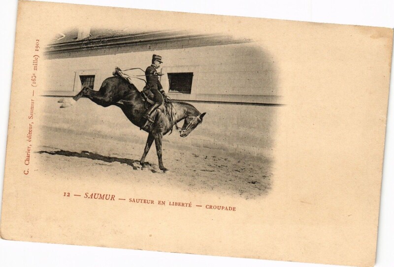 Carte postale ancienne Saumur - Sauteur en Liberte - Croupade à Saumur