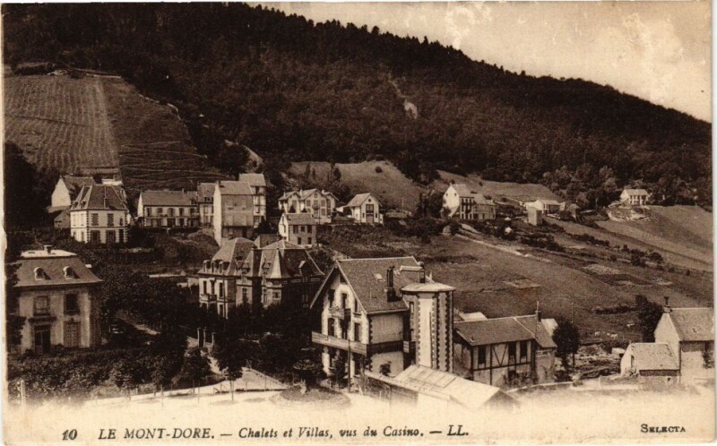 Carte postale ancienne Le Mont-Dore - Chalets et Villas vus du Casino à Mont-Dore
