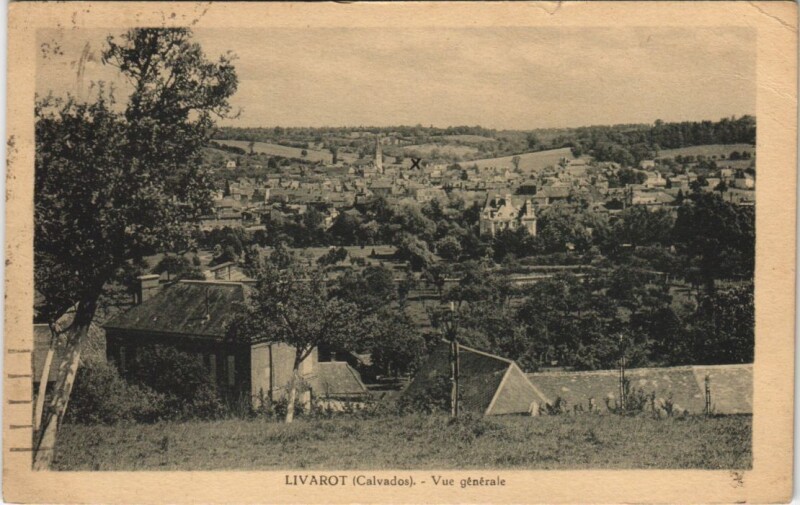 Carte postale ancienne Livarot Vue Generale