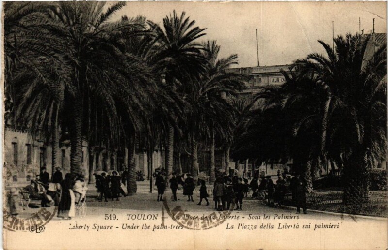 Carte postale ancienne Toulon La Place de la Liberté-Sous les Palmiers à Toulon