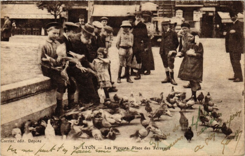 Carte postale ancienne Lyon - Les Pigeons - Place des Terraux à Lyon
