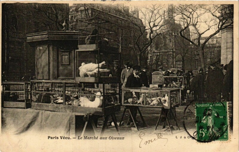 Carte postale ancienne Le Marché aux Oiseaux à Paris 4e