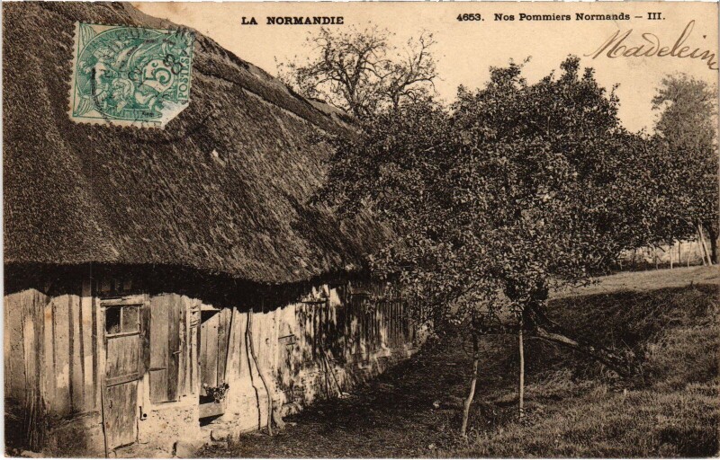 Carte postale ancienne La Normandie - Nos Pommiers Normands