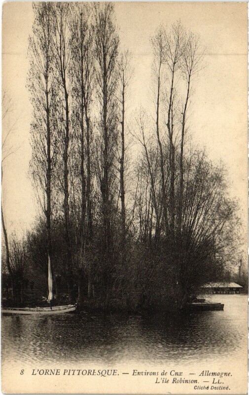 Carte postale ancienne L'Ile Robinson