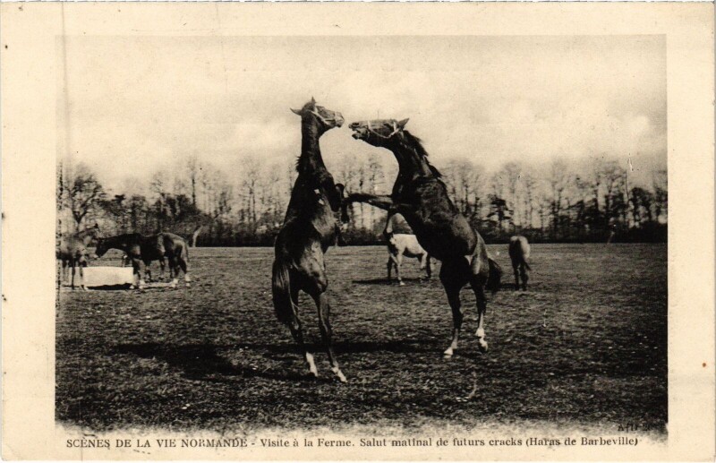 Carte postale ancienne Scenes de la Vie Normandie - Visite a la Ferme
