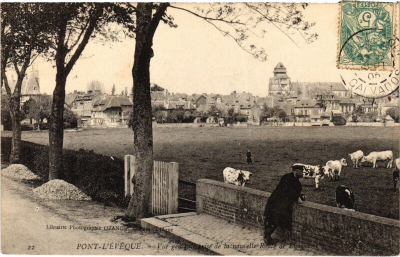 Carte postale ancienne Pont-l'Eveque Vue Generale prise de la Nouvelle Route de Lisieux à Lisieux