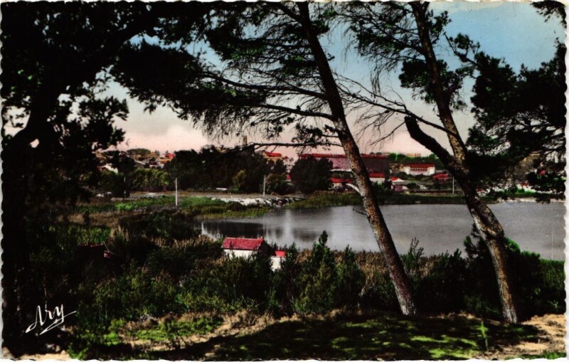 Carte postale ancienne Istres Etang de l'Olivier à Istres