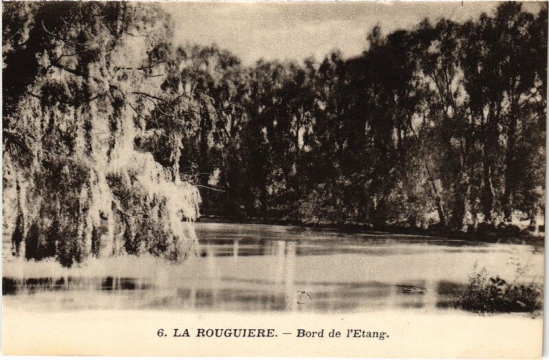 Carte postale ancienne La Rouguiere Bord de l'Etang