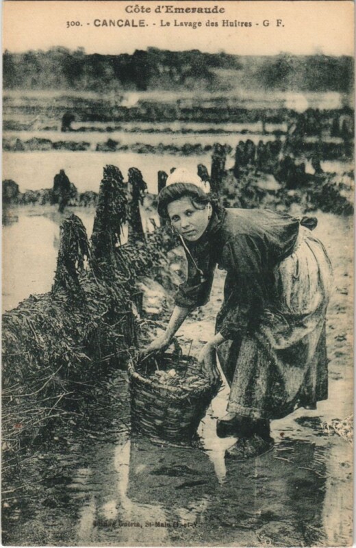 Carte postale ancienne Cancale Lavage des Huitres à Cancale