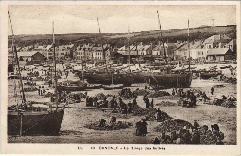 Carte postale ancienne Cancale Le Triage des huitres à Cancale