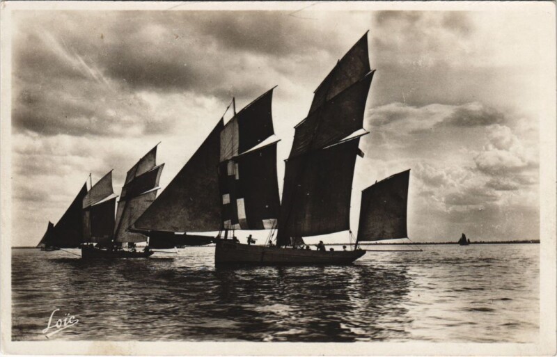 Carte postale ancienne Cancale Bisquines en rade à Cancale