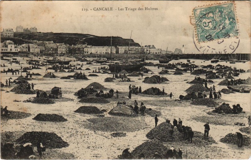 Carte postale ancienne Cancale Les Triage des Huitres à Cancale