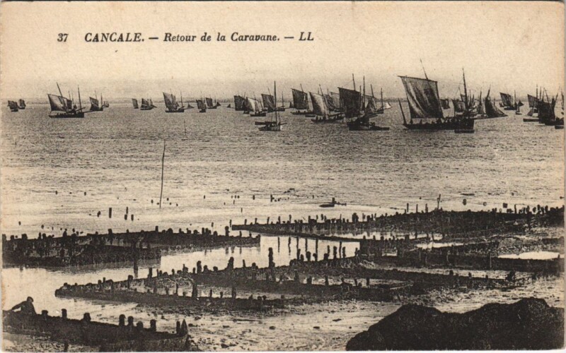 Carte postale ancienne Cancale Retour de la Caravane à Cancale