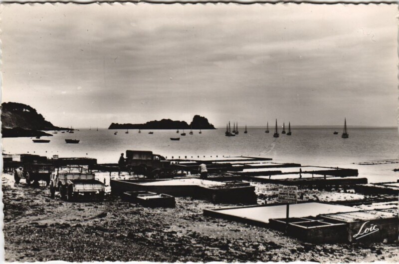 Carte postale ancienne Cancale Les parcs a huitres à Cancale