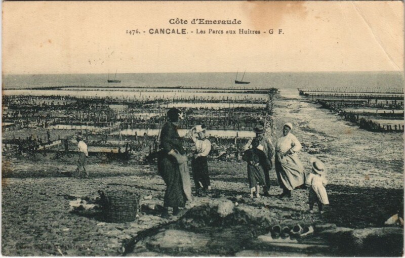 Carte postale ancienne Cancale Les Parcs aux Huitres à Cancale