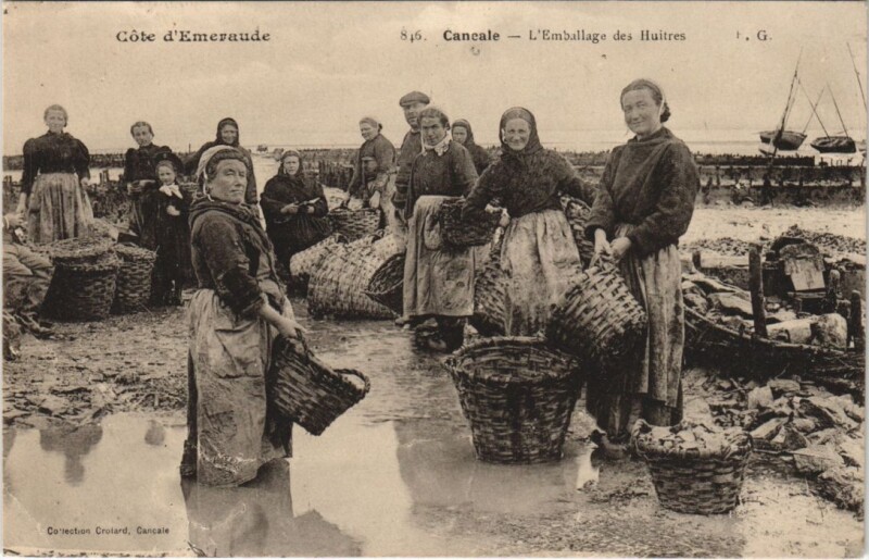 Carte postale ancienne Cancale - L'Emballage des Huitres à Cancale