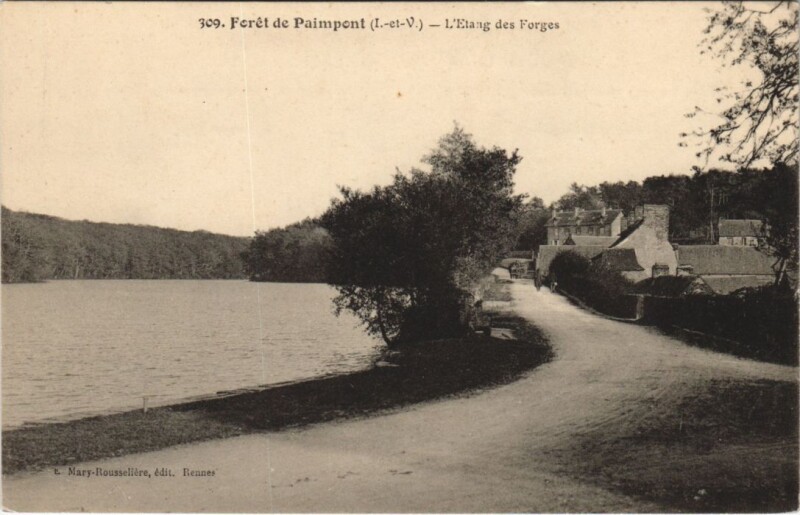 Carte postale ancienne Forêt de Paimpont - Etang des Forges à Paimpont