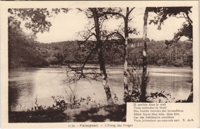 Carte postale ancienne Paimpont Etang des Forges à Paimpont
