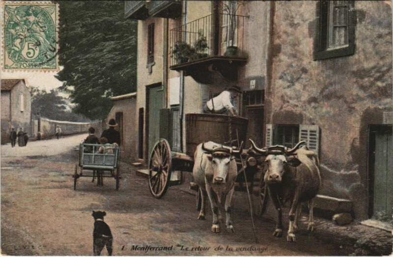 Carte postale ancienne Clermont Ferrand Retour de la vendange à Clermont-Ferrand