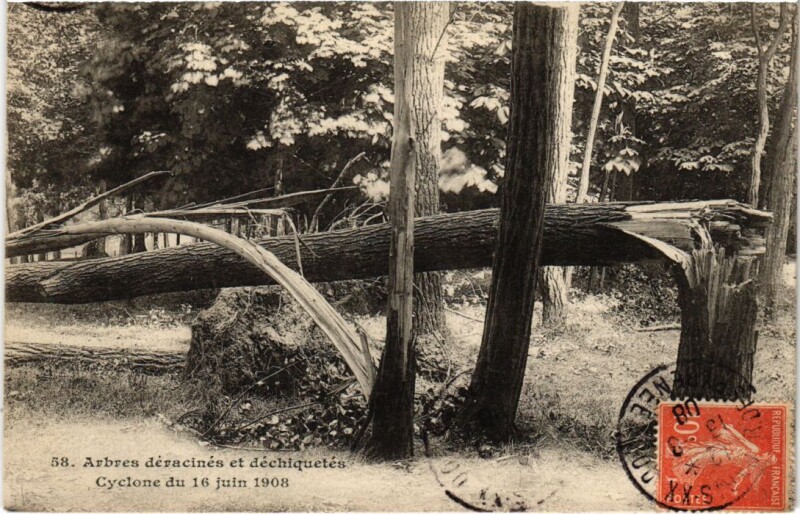 Carte postale ancienne Vincennes Arbres deracines et dechiquetes Cyclone France à Vincennes