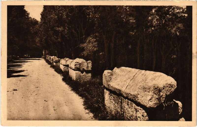 Carte postale ancienne Arles Les Alyscamps - L'Allee des Tombeaux à Arles