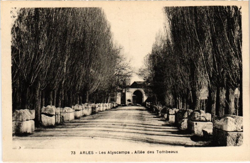 Carte postale ancienne Arles Les Alyscamps - Allee des Tombeaux à Arles