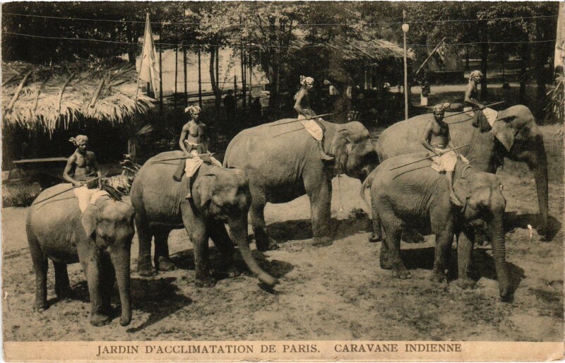 Carte postale ancienne Jardin d'Acclimatation de Paris - Caravane Indienne à Neuilly-sur-Seine