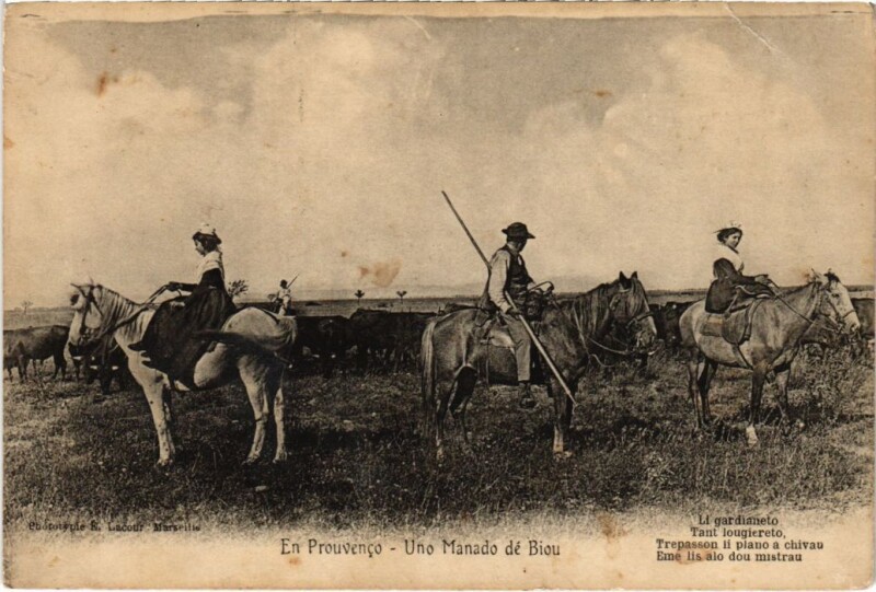 Carte postale ancienne En Prouvenco - Une Manado de Biou - Types