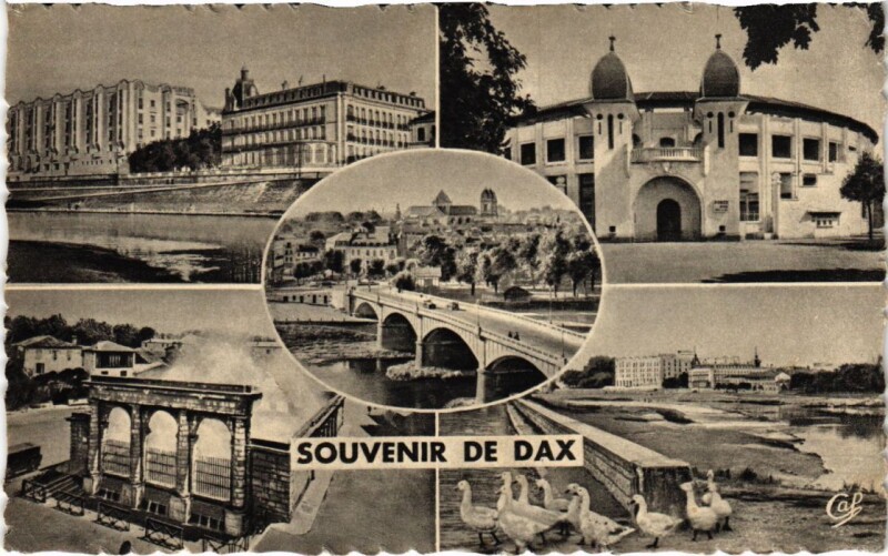 Carte postale ancienne Dax souvenir