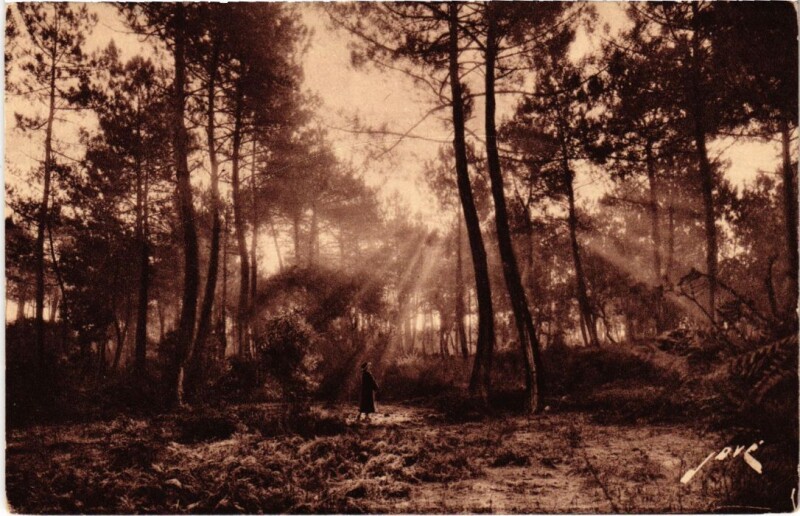 Carte postale ancienne Capbreton La Foret a l'aurore à Capbreton