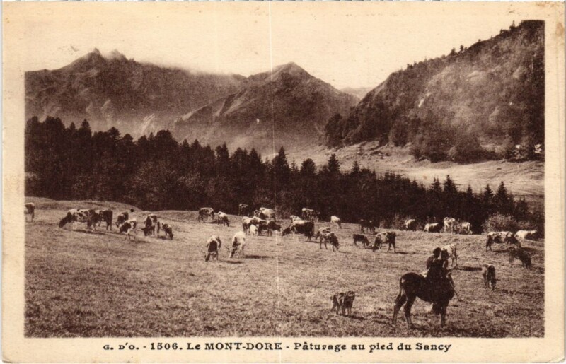 Carte postale ancienne Le Mont Dore Paturage au pied du Sancy France à Mont-Dore