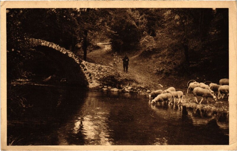 Carte postale ancienne Pont de la Chicane France