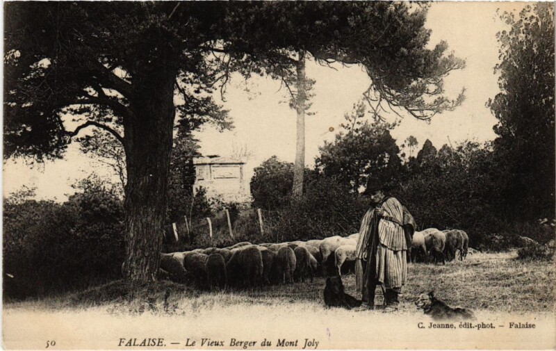 Carte postale ancienne Falaise Le Vieux Berger du Mont Joly France à Falaise