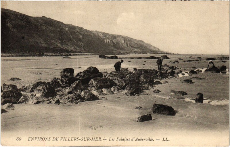 Carte postale ancienne Villers s Mer Les Falaises d'Auberville France à Auberville