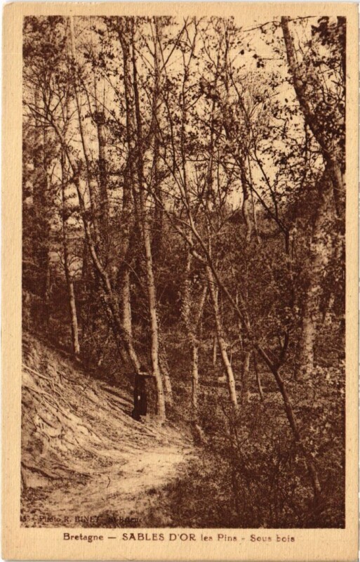 Carte postale ancienne Sables-d'Or-les-Pins Sous Bois